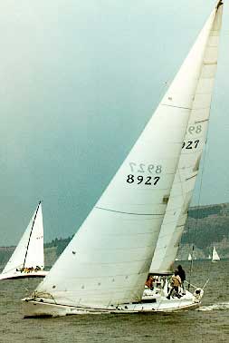 Santa Cruz 50